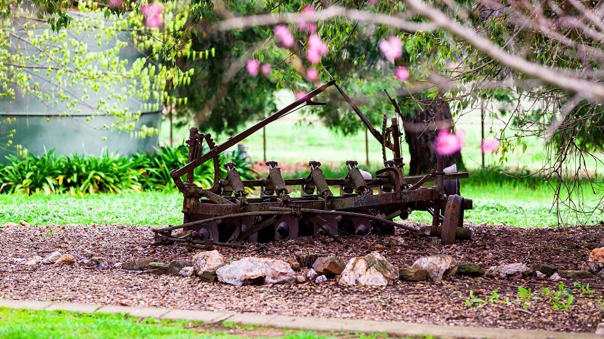 Hillview Farmstay Gundagai Exterior photo