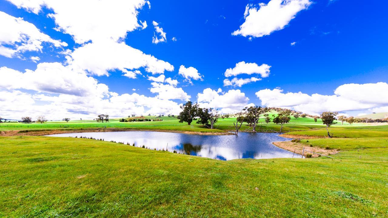 Hillview Farmstay Gundagai Exterior photo